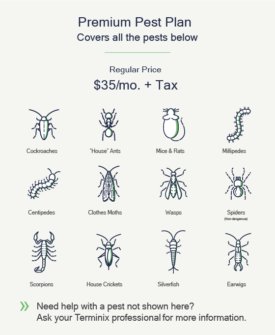Terminix residential pest control treatment options